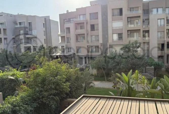 8239722 - Property Image 2