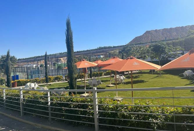 8241632 - Property Image 2