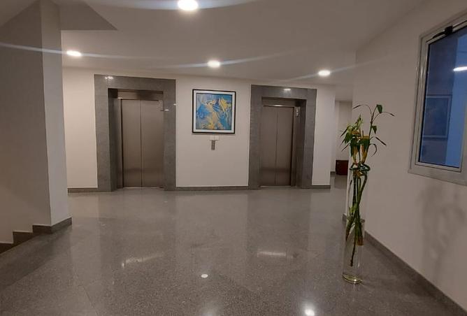 8143402 - Property Image 2