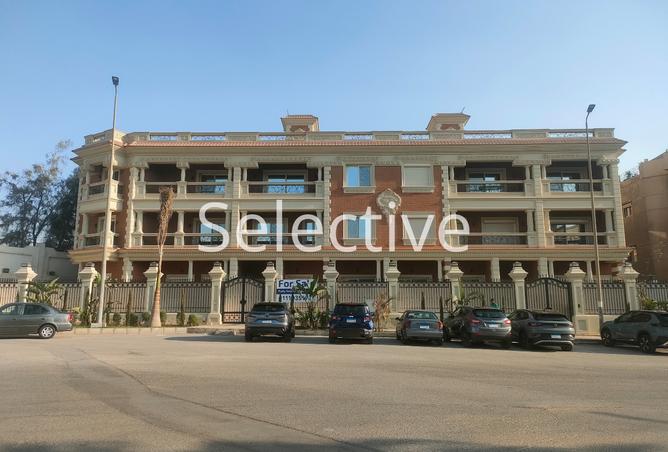 7905391 - الصورة الرئيسية للعقار