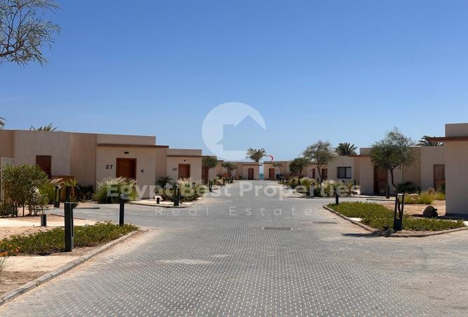 7999427 - Property Image 3