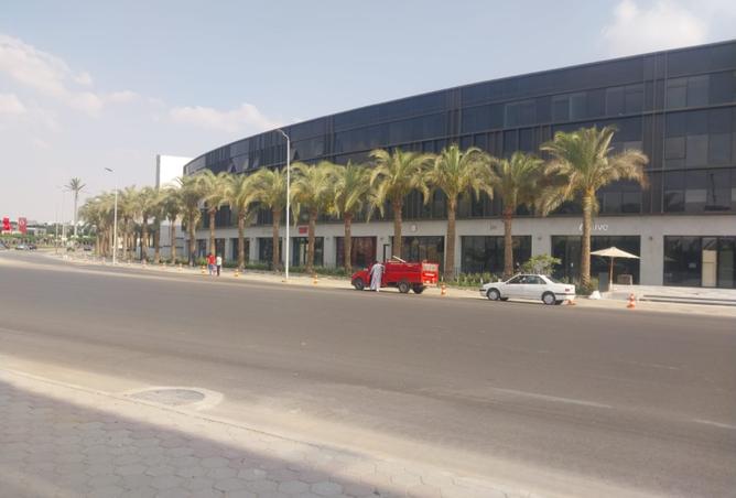 8199607 - صورة العقار 3