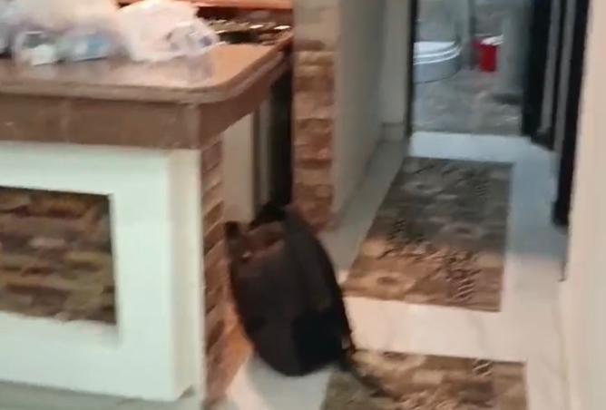 8552718 - Property Image 2