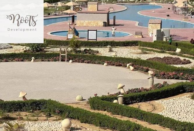 8253482 - صورة العقار 3