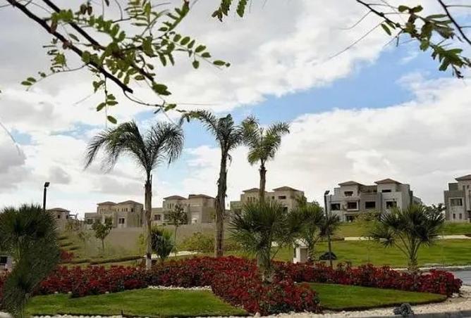 8239272 - Property Image 3