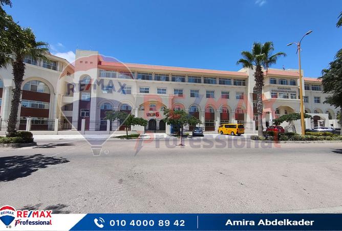 7909763 - صورة العقار 3