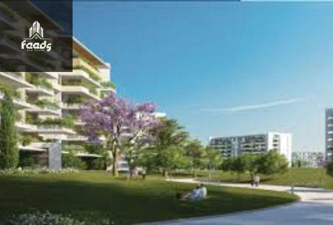 8132763 - Property Image 3