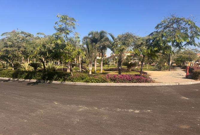 8396351 - Property Image 2