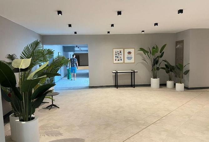 8352065 - Property Image 3