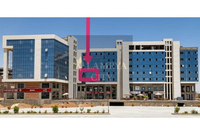 8163098 - صورة العقار 3