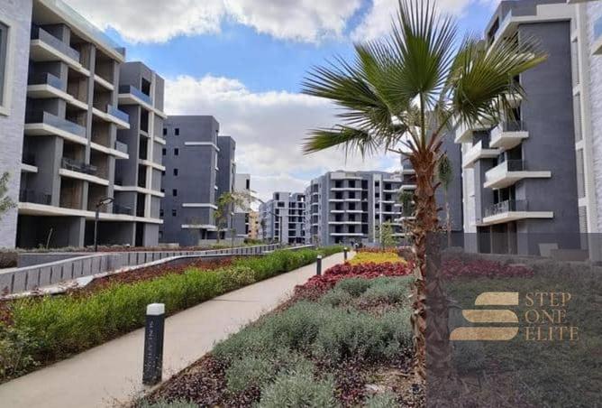 8303534 - Property Image 3