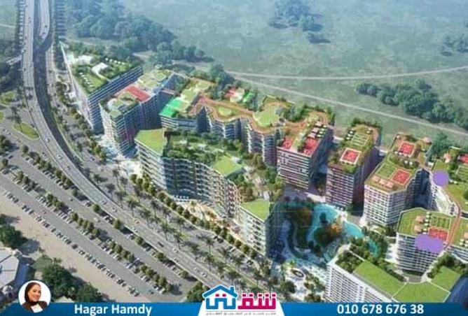 8105880 - Property Image 2