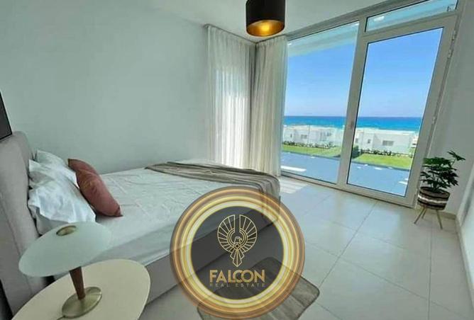 8477875 - Property Image 3