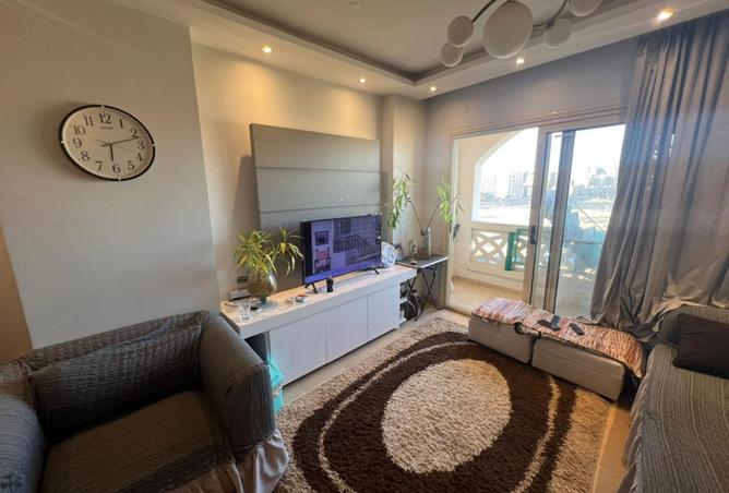 7903362 - Property Image 2