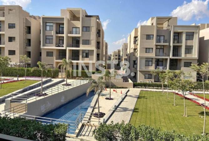 8096410 - Property Image 3