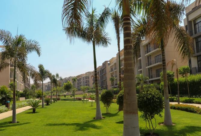 8012759 - صورة العقار 3