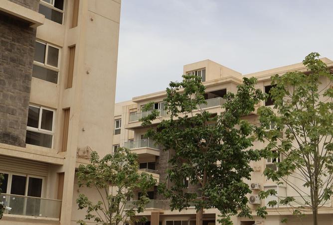 8218818 - صورة العقار 2