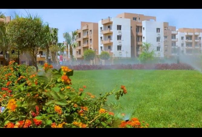 8275674 - صورة العقار 2