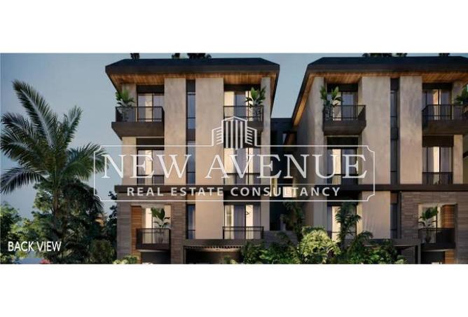 8318827 - Property Image 2