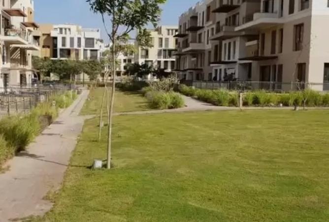 8228125 - صورة العقار 2