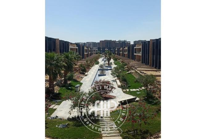 8134936 - صورة العقار 3