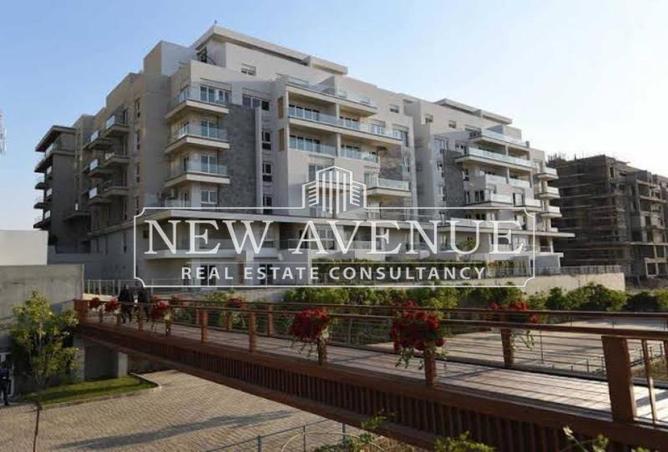 7935374 - Property Main Image