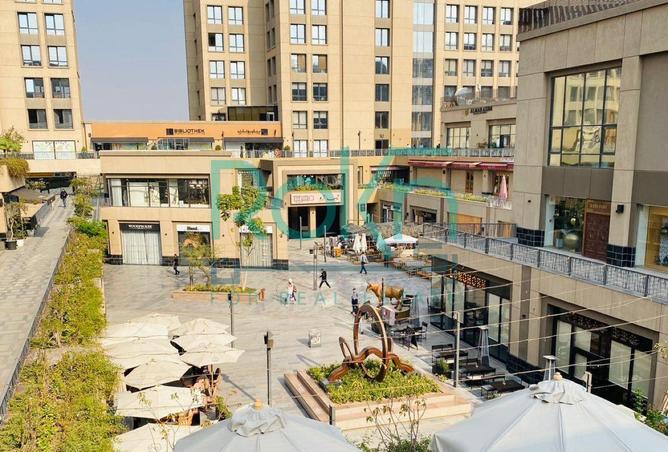 8234566 - Property Image 2