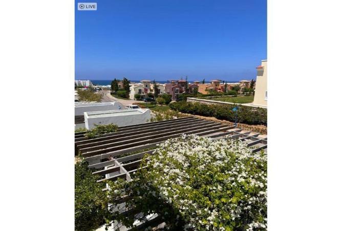 8187171 - Property Image 3