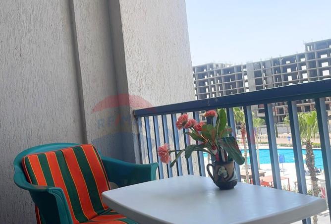 8437389 - Property Image 3