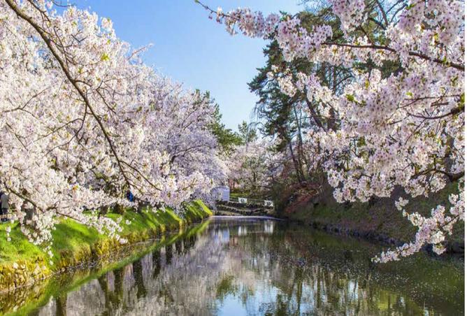 8197528 - Property Image 3