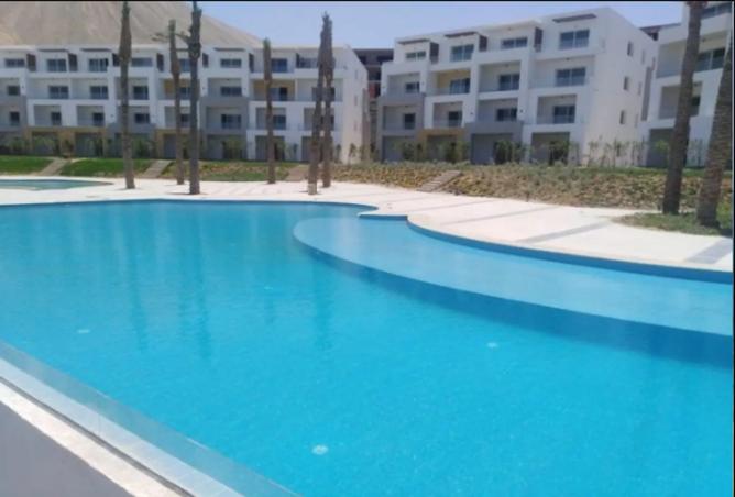 8197841 - Property Image 3