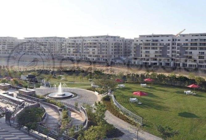 8284561 - Property Image 3