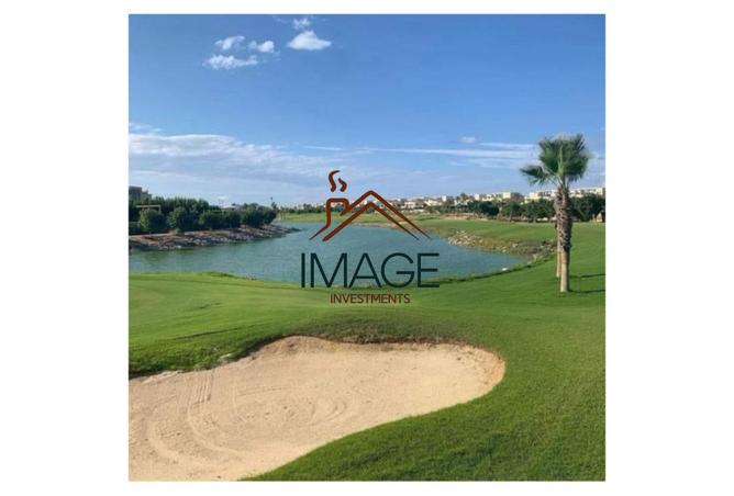 8451519 - Property Image 2