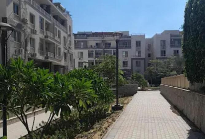 8265746 - Property Image 3