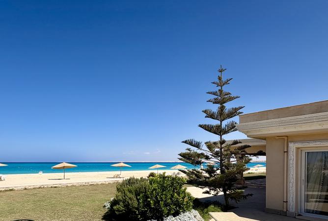 7958592 - الصورة الرئيسية للعقار