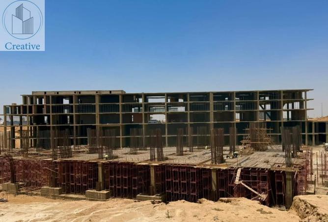 8399894 - Property Image 3