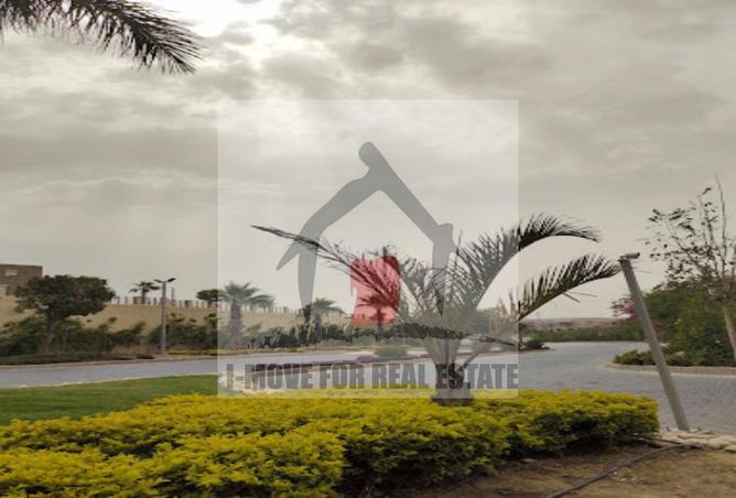 7923164 - Property Image 3