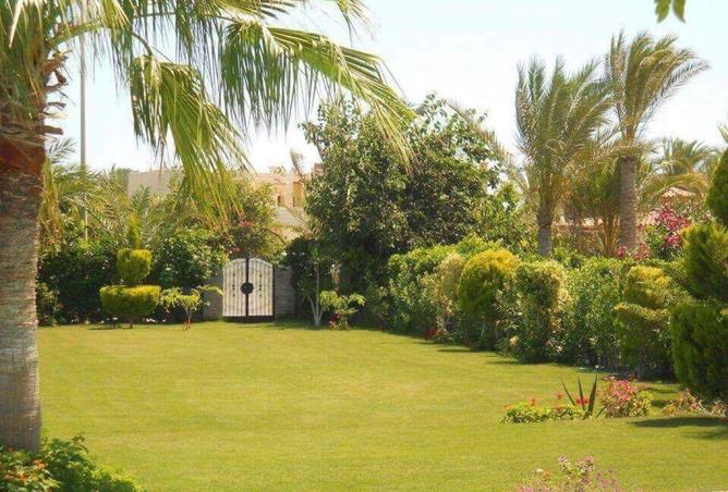 8160587 - صورة العقار 2