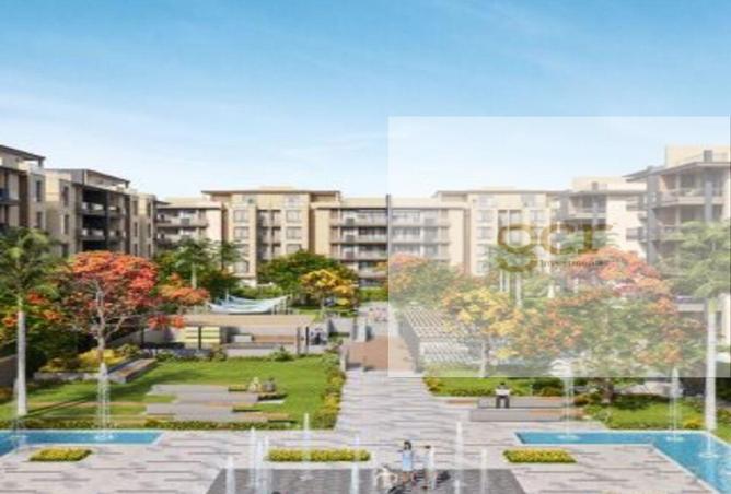 8281840 - Property Image 3