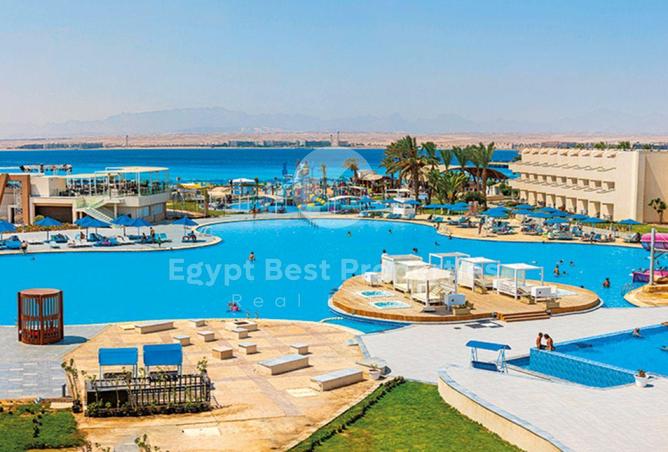 8178184 - Property Image 3