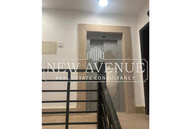 8162798 - Property Image 3