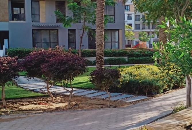 8341592 - Property Image 3