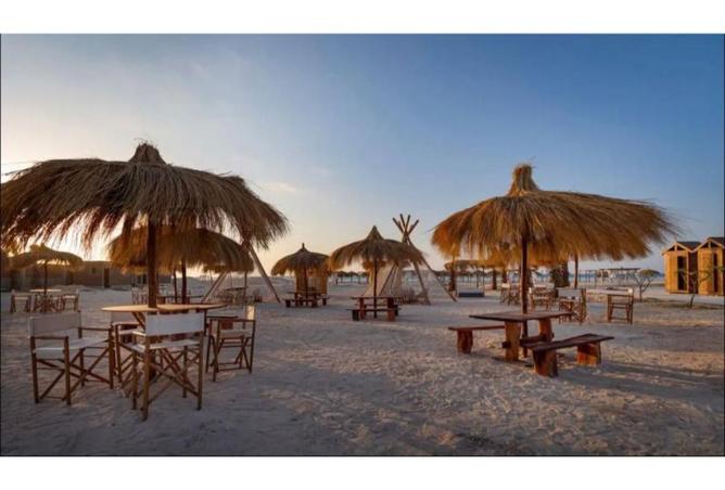 8192848 - صورة العقار 2