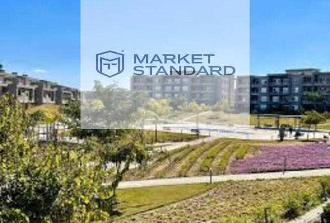 8243381 - Property Image 2