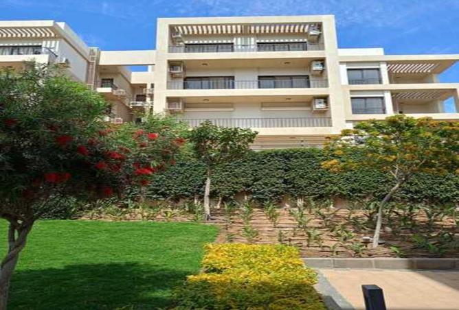 7890979 - Property Image 3