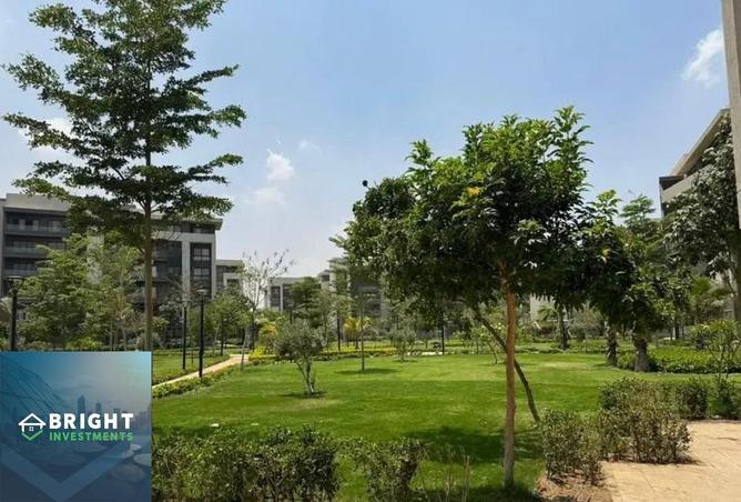 8359345 - صورة العقار 3