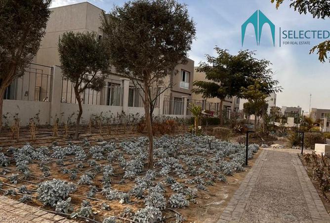 8018841 - صورة العقار 3