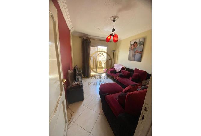 7955742 - صورة العقار 3