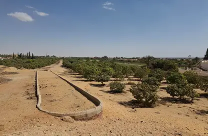 مزرعة - استوديو للبيع في جمعية احمد عرابى - مدينة العبور - القليوبية