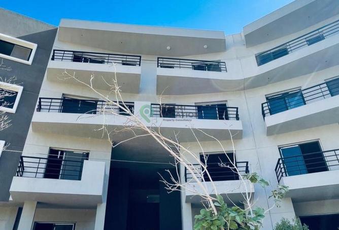 8519823 - صورة العقار 3